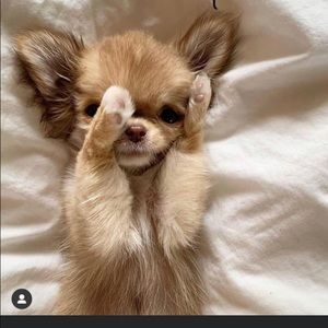 Meet your Posher, Katherine